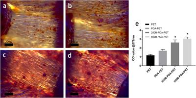 Polydopamine Coating-Mediated Immobilization of BMP-2 on Polyethylene Terephthalate-Based Artificial Ligaments for Enhanced Bioactivity